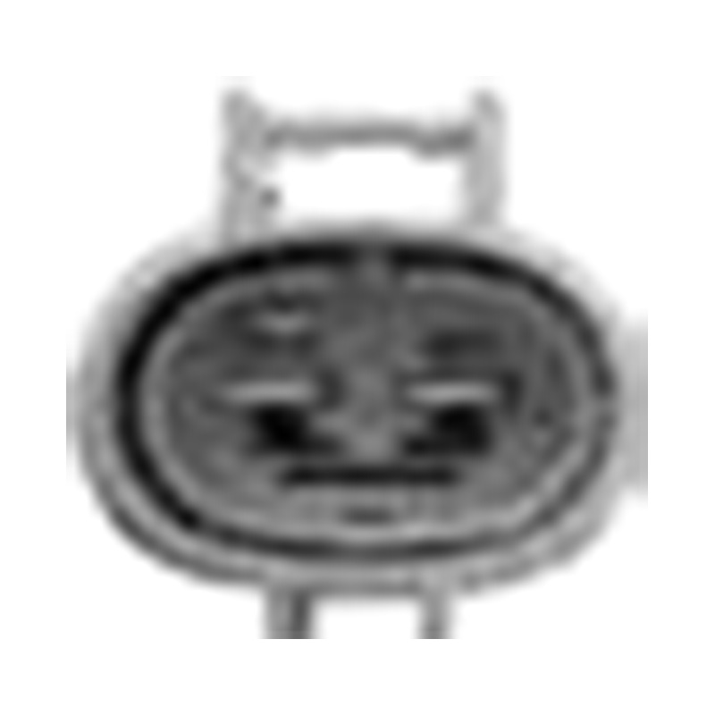 Ханчжоу Golden Sun Autoparts Co., Ltd.