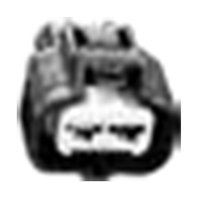 Ханчжоу Golden Sun Autoparts Co., Ltd.