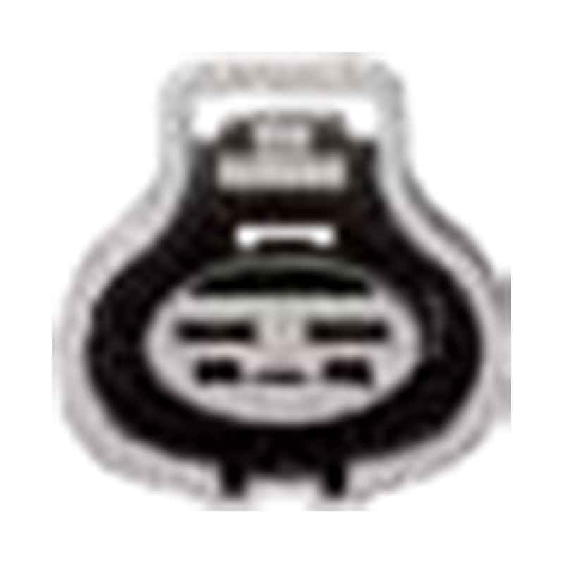 Ханчжоу Golden Sun Autoparts Co., Ltd.